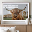Highland Cow Animal Scottish Cattle Art Print Farmhouse Wall