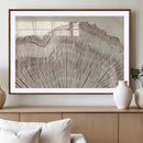 Tree Ring Wall Art Triptych, Rustic Wood Ring Canvas Print,