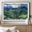 Olive Trees Van Gogh Wall Art Canvas Print