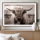 Scottish Cow Longhorn Wall Art Canvas Print