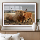 Highland Cow Canvas Wall Art Animal Print for Farm House