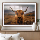 Highland Cow Longhorn Wall Art – Rustic Canvas Print, Framed