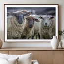 Charming Sheep Portrait Wall Art – Trio of Woolly Companions by MyGreatCanvas | Canvas Wall Art Prints | Photo Prints & Wall Decor