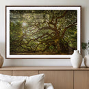 Ancient Angel Oak Tree Art Sunburst Canvas Print-
