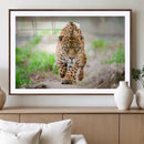 Leopard on the Prowl - Stunning Large Framed Leopard Wall