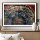 Abstract Tree Ring Wall Art, Colorful Framed Tree Ring Wall