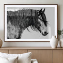 Black Horse Wall Art Canvas Print – Elegant Farmhouse Decor