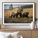 Grizzly Bear Family Wall Art Canvas Print – Majestic