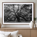 Black and White Old Angel Oak Tree Wall Art Canvas Print