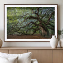 Historic Tree Wall Art – Framed Mossy Branch Canvas Artwork, by MyGreatCanvas | Canvas Wall Art Prints | Photo Prints & Wall Decor