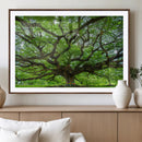 Oak Tree Wall Art Print, Forest Canvas Wall Art for Home and by MyGreatCanvas | Canvas Wall Art Prints | Photo Prints & Wall Decor