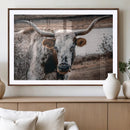 Texas Longhorn Wall Art Canvas Print – Framed Spotted Bull