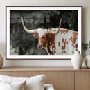 Texas Longhorn Wall Art Canvas Print – Framed Spotted Bull