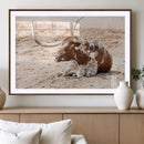 Texas Longhorn Wall Art Canvas Print – Framed Resting Bull by MyGreatCanvas | Canvas Wall Art Prints | Photo Prints & Wall Decor