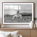 White Horse Wall Art Canvas Print – Framed Woman Rider