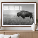 Bison Wall Art Canvas Print – Framed Rustic Wildlife Scene by MyGreatCanvas | Canvas Wall Art Prints | Photo Prints & Wall Decor