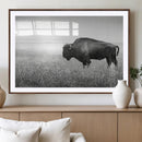 Bison in Prairie Wall Art Canvas Print – Framed Rustic by MyGreatCanvas | Canvas Wall Art Prints | Photo Prints & Wall Decor