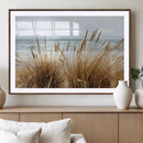 Beach Grass Wall Art – Framed Coastal Dunes Canvas Artwork, by MyGreatCanvas | Canvas Wall Art Prints | Photo Prints & Wall Decor