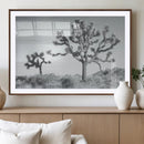 Joshua Tree Wall Art Canvas Print – Framed Black White by MyGreatCanvas | Canvas Wall Art Prints | Photo Prints & Wall Decor