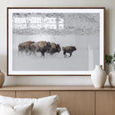 Bison Herd Decor Wall Art Canvas Print – Framed Snowy Bison by MyGreatCanvas | Canvas Wall Art Prints | Photo Prints & Wall Decor