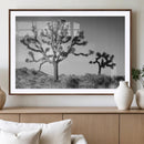 Joshua Tree Wall Art Canvas Print, Framed Monochrome Desert by MyGreatCanvas | Canvas Wall Art Prints | Photo Prints & Wall Decor