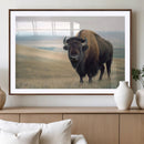 Bison Wall Art Canvas Print – Framed Buffalo Canvas Picture by MyGreatCanvas | Canvas Wall Art Prints | Photo Prints & Wall Decor