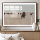 Bison Herd Wall Art Canvas Print – Framed Western Prairie by MyGreatCanvas | Canvas Wall Art Prints | Photo Prints & Wall Decor
