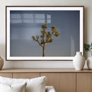 Joshua Tree Wall Art Canvas Print – Framed Southwestern by MyGreatCanvas | Canvas Wall Art Prints | Photo Prints & Wall Decor