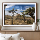 Joshua Tree Desert Wall Art Canvas Print – Framed by MyGreatCanvas | Canvas Wall Art Prints | Photo Prints & Wall Decor