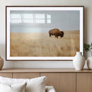 Buffalo Wall Art Canvas Print – Framed Western Wildlife by MyGreatCanvas | Canvas Wall Art Prints | Photo Prints & Wall Decor