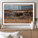 Western Framed Bison Wall Art Canvas Print by MyGreatCanvas | Canvas Wall Art Prints | Photo Prints & Wall Decor