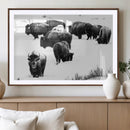 Buffalo Herd Wall Art Canvas Print – Framed Black and White by MyGreatCanvas | Canvas Wall Art Prints | Photo Prints & Wall Decor