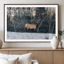 Wild Elk Wall Art Canvas Print – Framed Winter Wildlife by MyGreatCanvas | Canvas Wall Art Prints | Photo Prints & Wall Decor