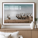 Elk Herd Wall Art Canvas Print – Framed Wildlife Photography