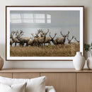 Elk Herd Wall Art Canvas Print – Framed Wildlife Photography by MyGreatCanvas | Canvas Wall Art Prints | Photo Prints & Wall Decor