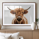 Scottish Highland Cow Canvas Print, Framed Highland Cow