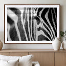 Zebra Stripes Wall Art Canvas Print – Black White Contrast by MyGreatCanvas | Canvas Wall Art Prints | Photo Prints & Wall Decor