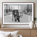 Moose Wall Art Canvas Print – Winter Snowy Forest Antlers by MyGreatCanvas | Canvas Wall Art Prints | Photo Prints & Wall Decor