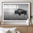 Black White Bison Canvas Wall Art, Rustic American Buffalo by MyGreatCanvas | Canvas Wall Art Prints | Photo Prints & Wall Decor
