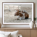 Majestic Longhorn Wall Art Canvas Print – Resting on Sunlit by MyGreatCanvas | Canvas Wall Art Prints | Photo Prints & Wall Decor