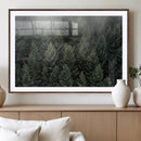 Dense Evergreen Forest Wall Art, Misty Morning Fog, Pine by MyGreatCanvas | Canvas Wall Art Prints | Photo Prints & Wall Decor