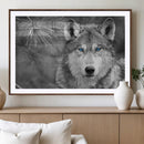 Wild Wolf Blue Eye Wall Art Canvas Print