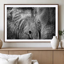 Wild Old Elephant Wall Art Canvas Print