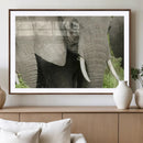 Wild Elephant Wall Art Canvas Print by MyGreatCanvas | Canvas Wall Art Prints | Photo Prints & Wall Decor