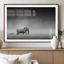 Elephand and Zebra Wall Art Canvas Print, Modern Artwork