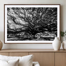 Mighty Angel Oak Wall Art | Angel Oak Tree Art Print by MyGreatCanvas | Canvas Wall Art Prints | Photo Prints & Wall Decor