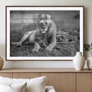 King Forest Lion Wall Art Canvas Print – Framed Majestic by MyGreatCanvas | Canvas Wall Art Prints | Photo Prints & Wall Decor