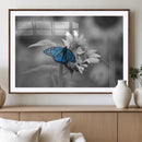 Blue Butterfly Black and White Canvas Wall Art by MyGreatCanvas | Canvas Wall Art Prints | Photo Prints & Wall Decor