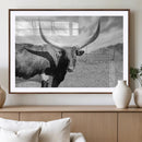 Cattle Wall Art Longhorn Cow Canvas Print