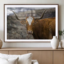 Texas Longhorn Canvas Wall Art - Longhorn Steer Canvas Wall